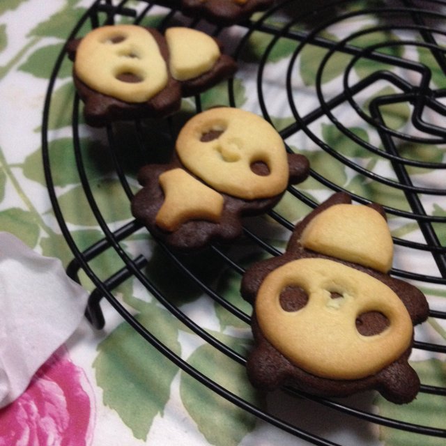 小熊猫饼干