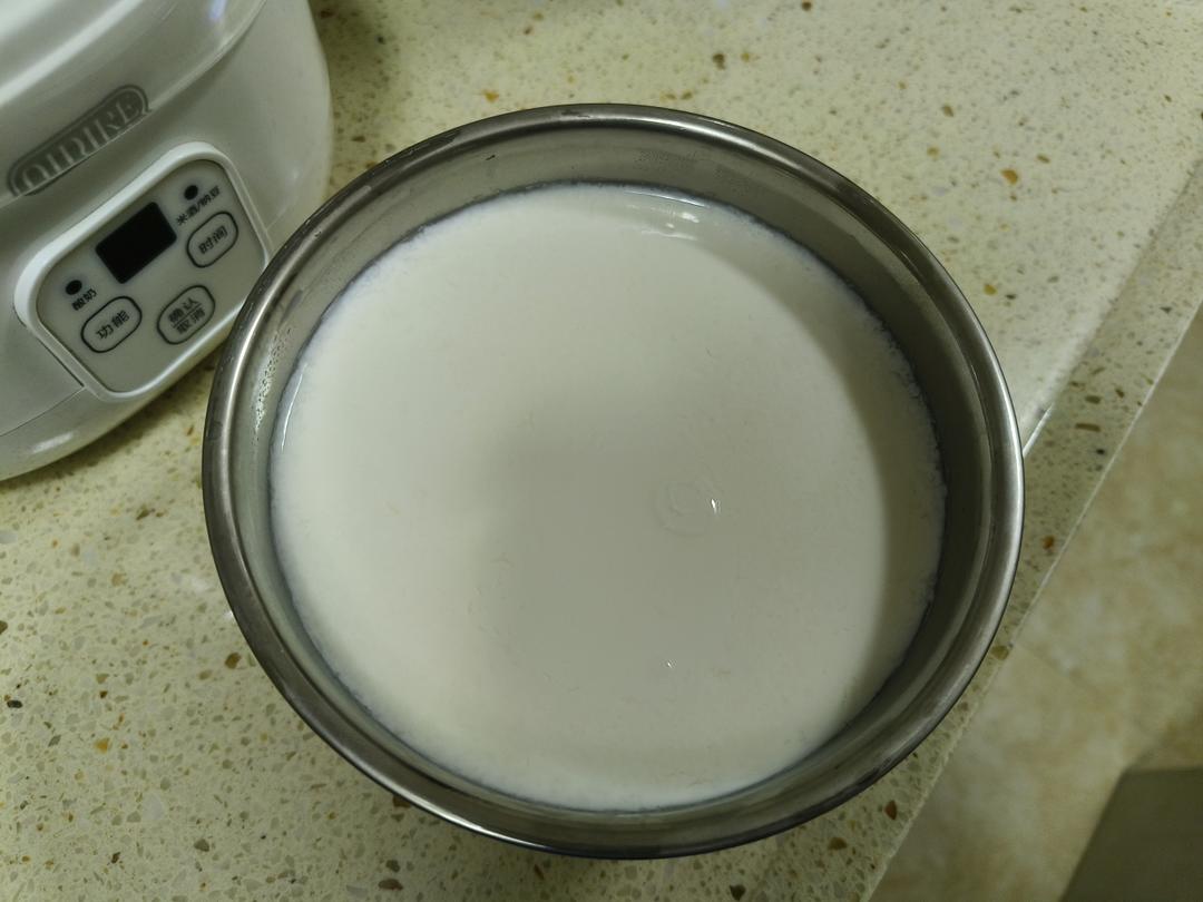 小熊酸奶机自制酸奶