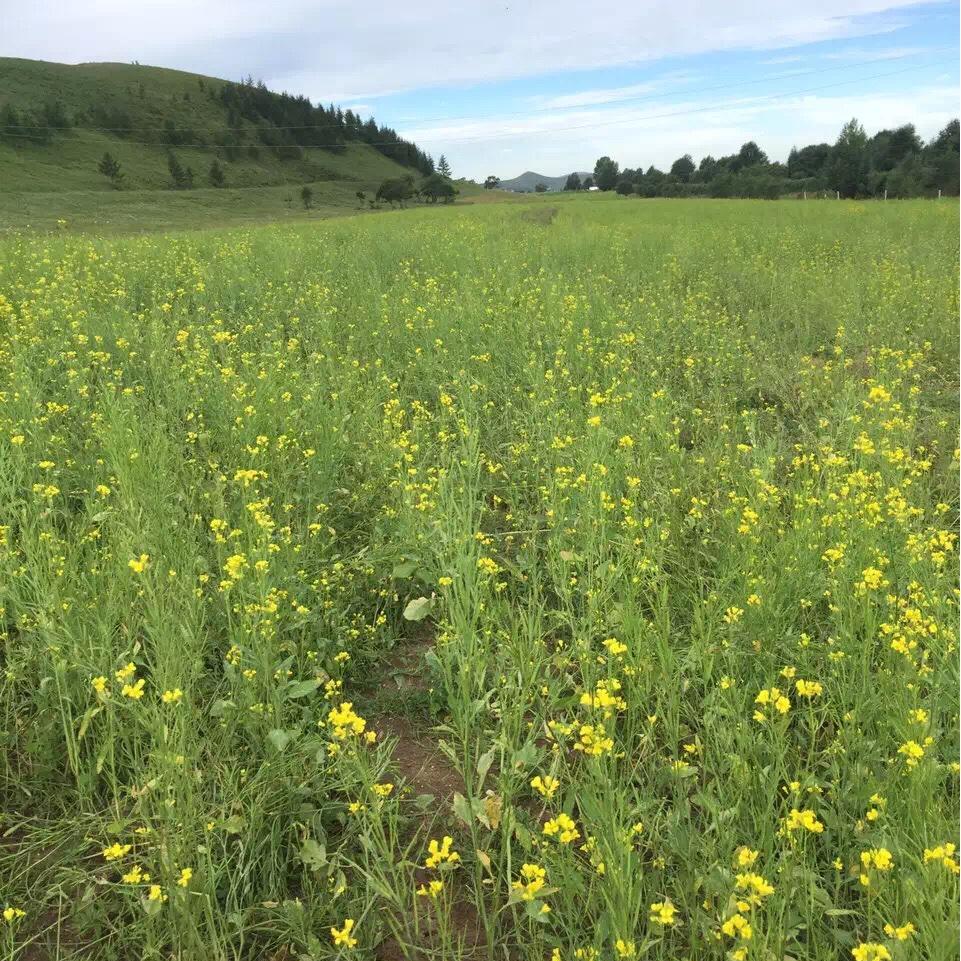 手机用户4275_p8x4