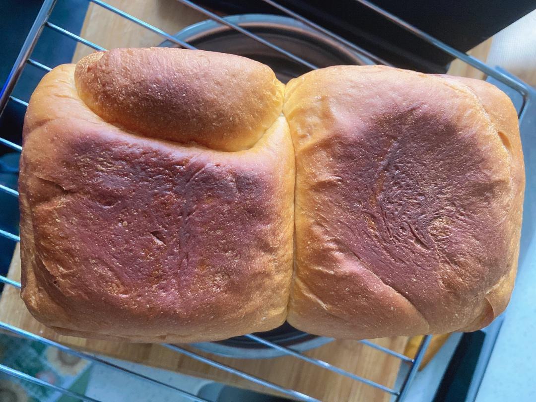 用烤箱自己做面包--手工牛奶吐司面包