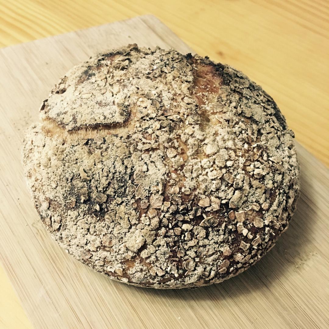 欧包/乡村面包-无油不用揉 No Knead Bread