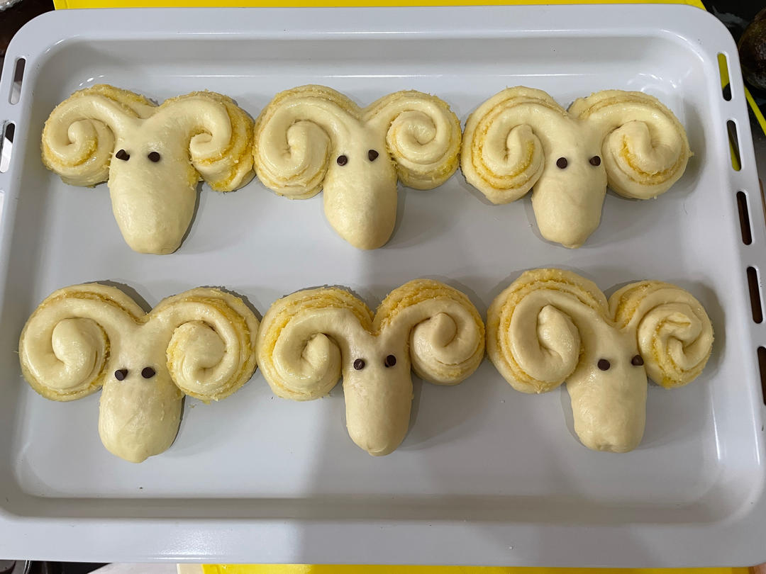 罗马盾牌饼干【5-6月北鼎烤箱食谱】