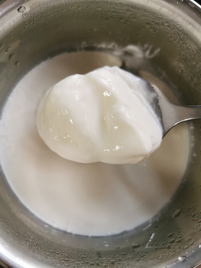 自制菌丝生活酸奶的做法 步骤6