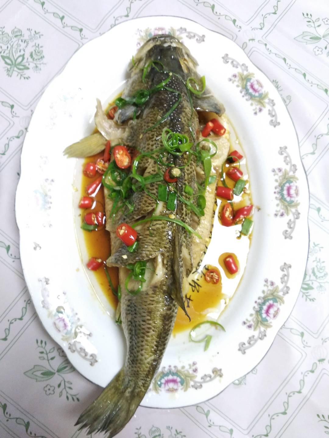 拖延症de吃货做的超入味清蒸鱼～清蒸鲈鱼桂花鱼(家常独创)