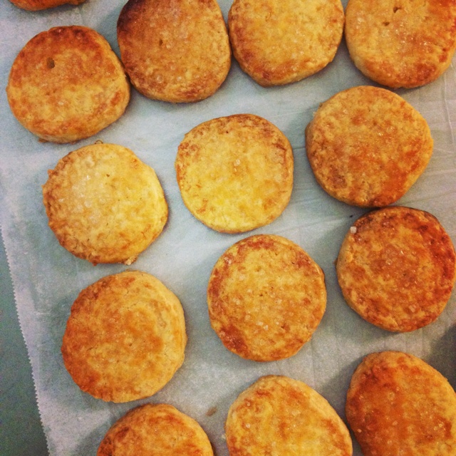 PH大师的香草酥饼