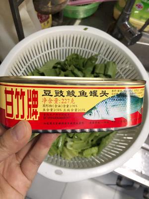 家常菜豆豉鲮鱼油麦菜的做法 步骤2