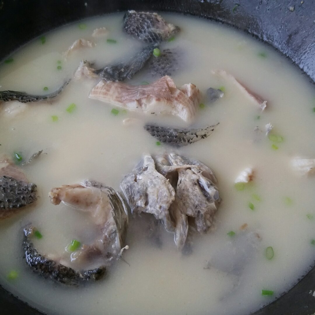 黑鱼汤