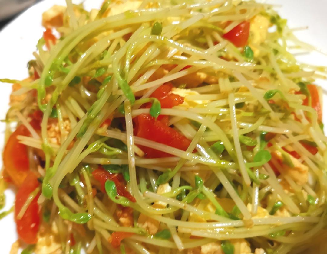 快手菜一口鲜豆苗