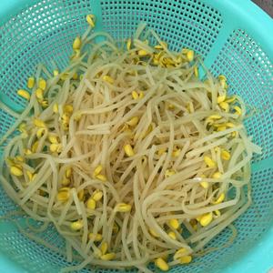 韩式拌黄豆芽的做法 步骤3
