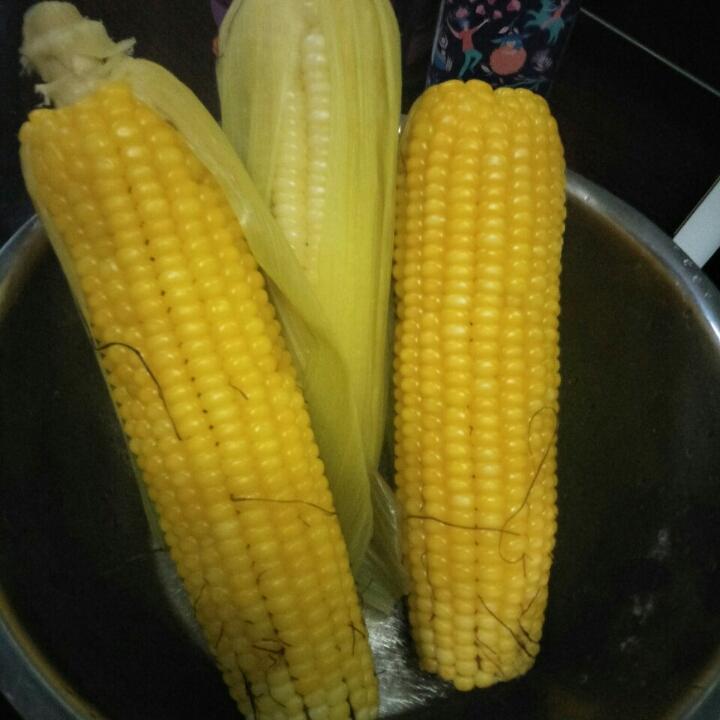 济南小吴做的煮玉米