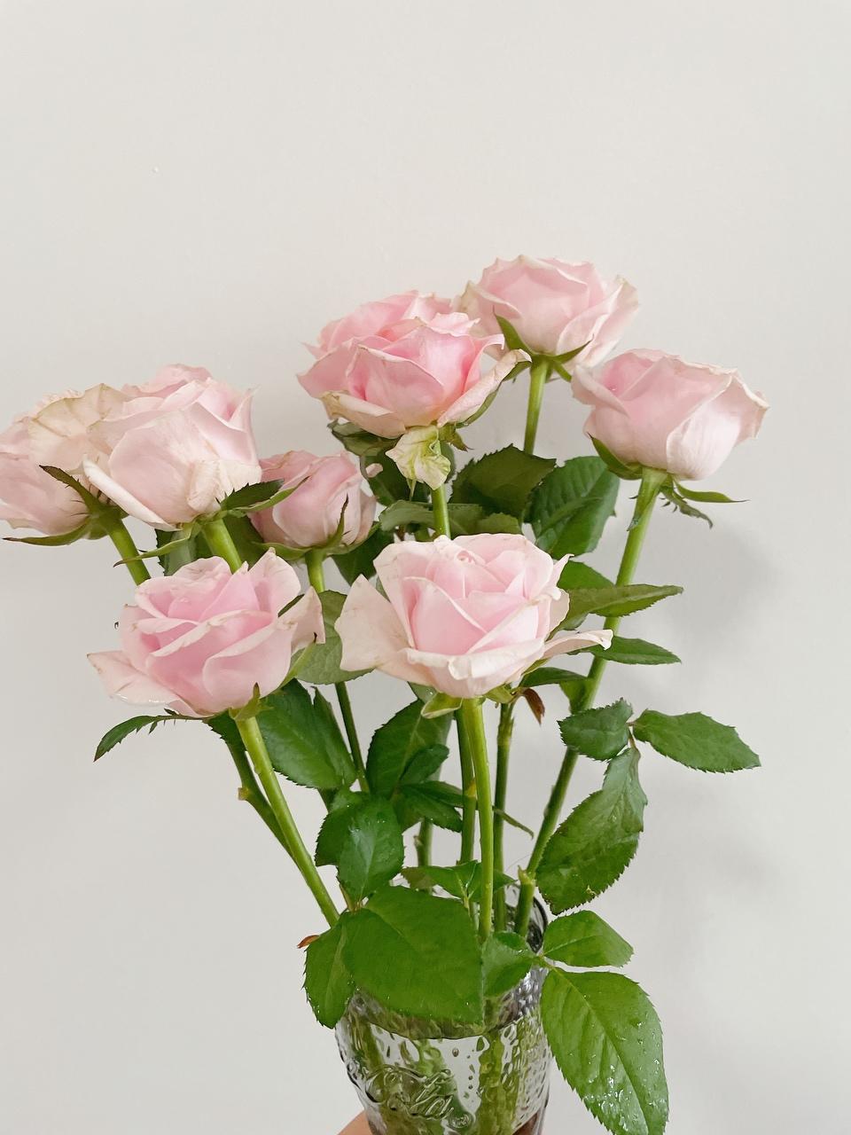 烤干花（玫瑰保存）的做法