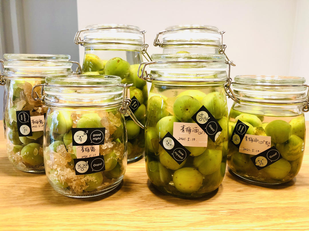【青梅酒】梅子的沉醉时光（已填坑）