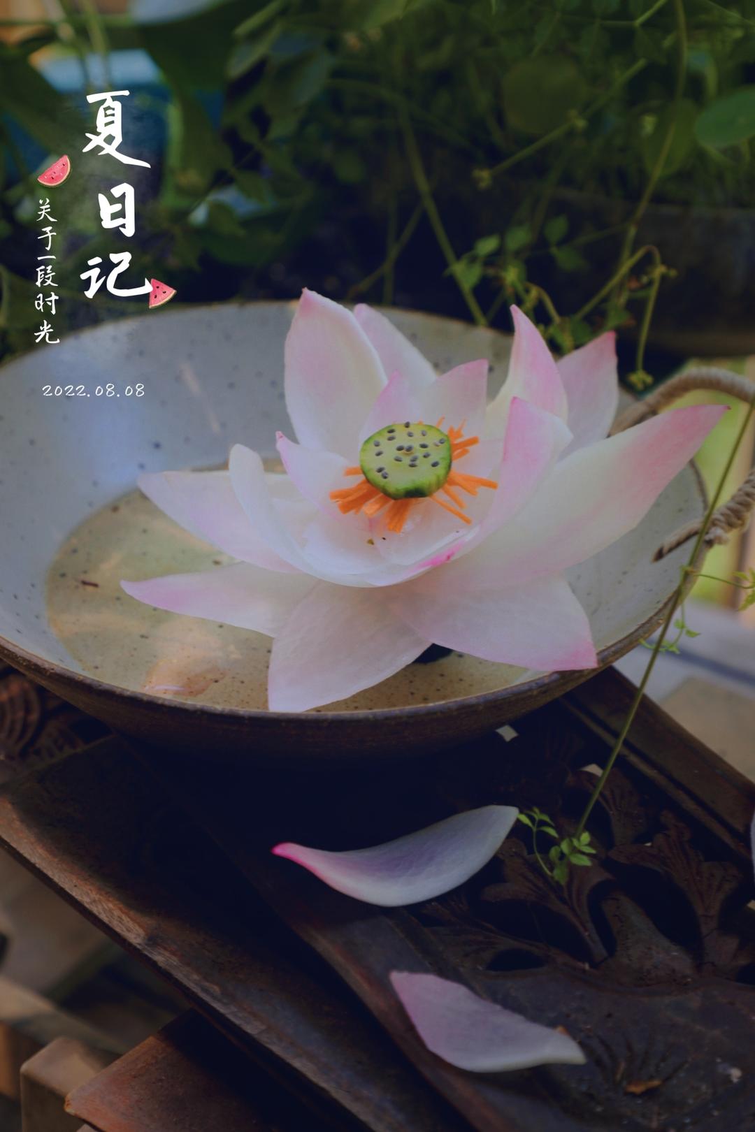 简单美丽的盘饰（8）——拼装荷花盘饰