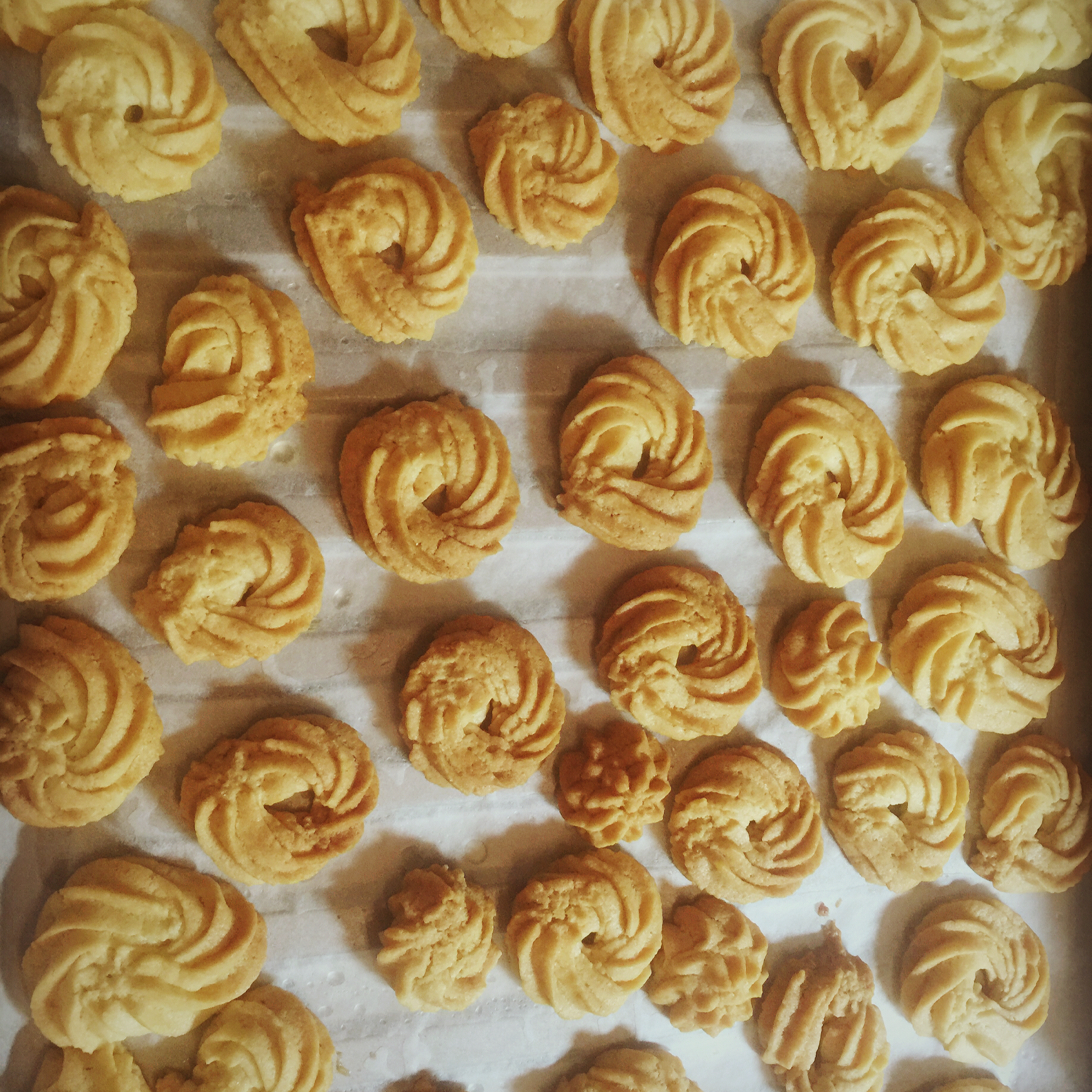 维也纳樱花曲奇