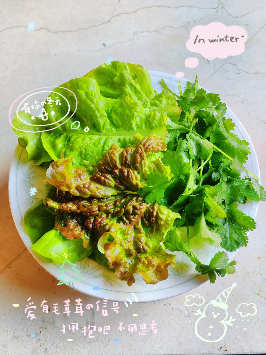 🌿🌿我的小菜园