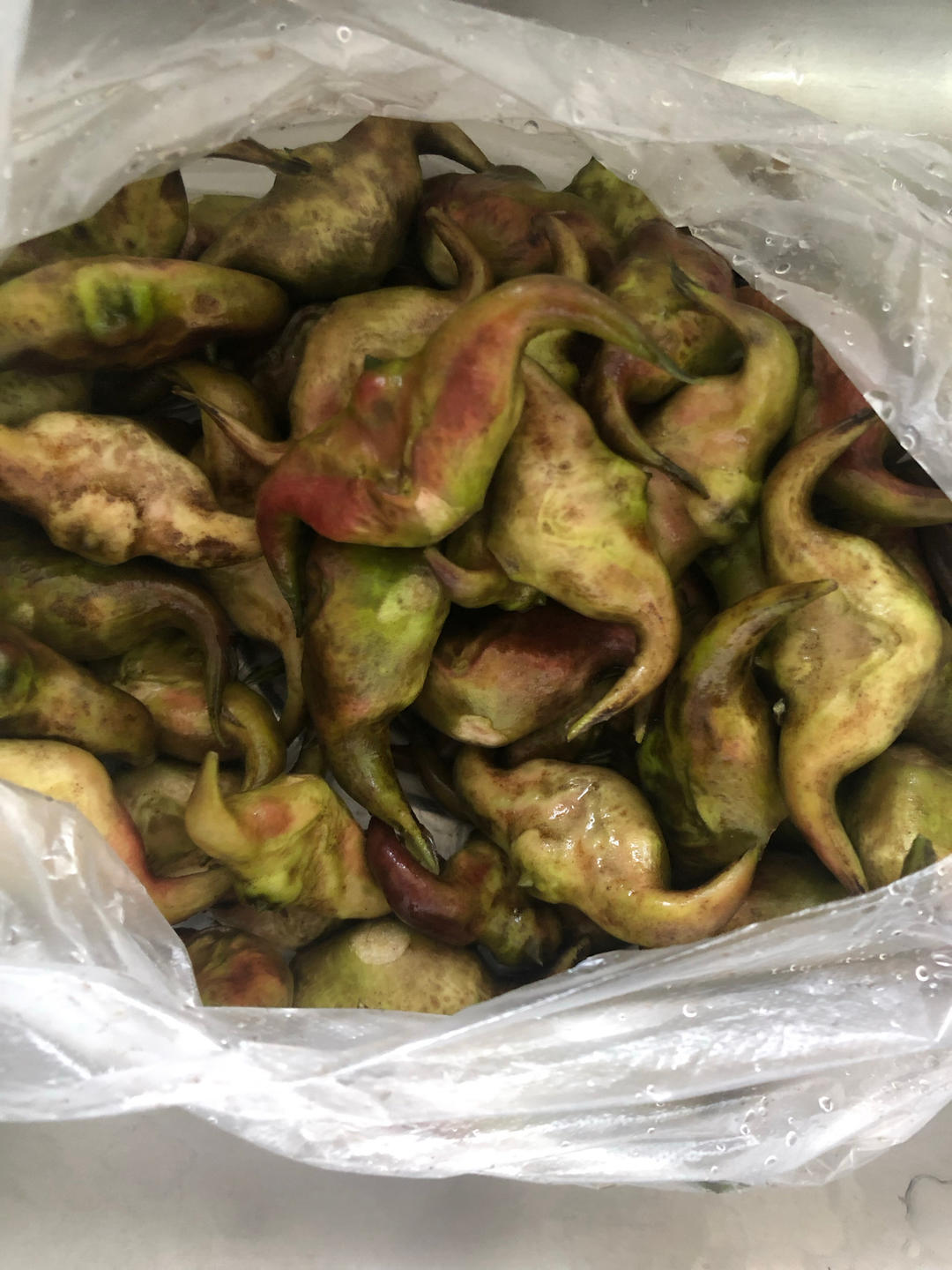 毛豆菱角米