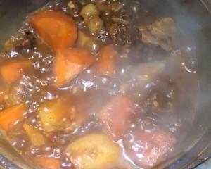 胡萝卜土豆炖牛腩（红腐乳郫县豆瓣瑶柱酱烧烤酱蚝油蜂蜜大蒜版）的做法 步骤1