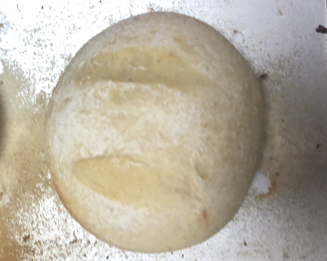 燕麦面包（手揉版）的做法 步骤16