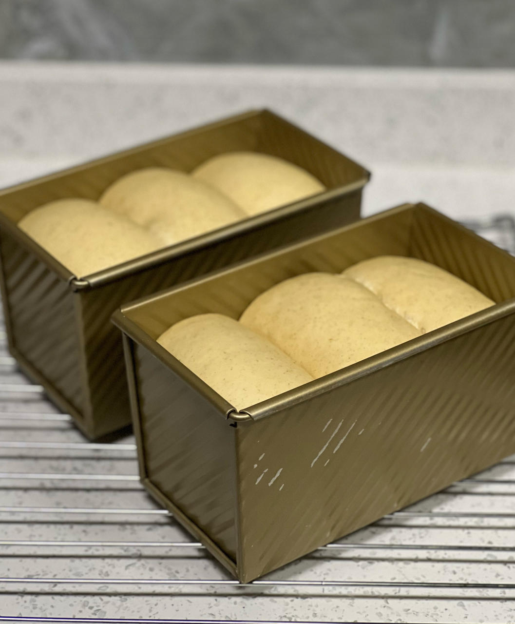 简简单单白吐司（玉米油）