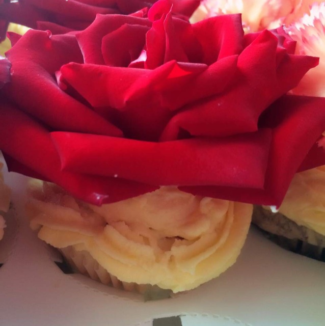 鲜奶油蓝莓纸杯蛋糕 Blueberry Crème  fraîche cupcake