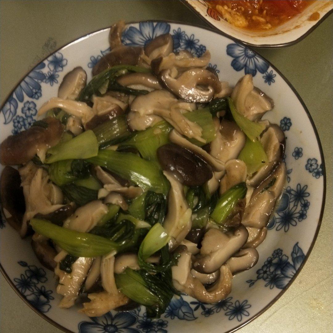 上海青炒香菇