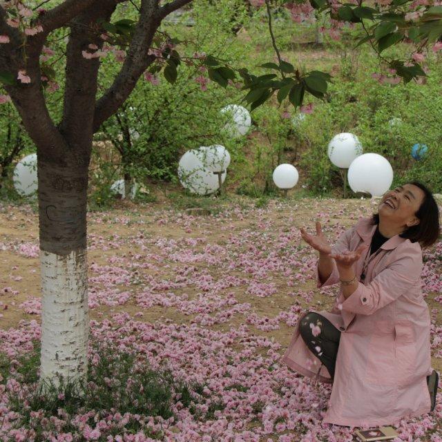 菜鸟面面