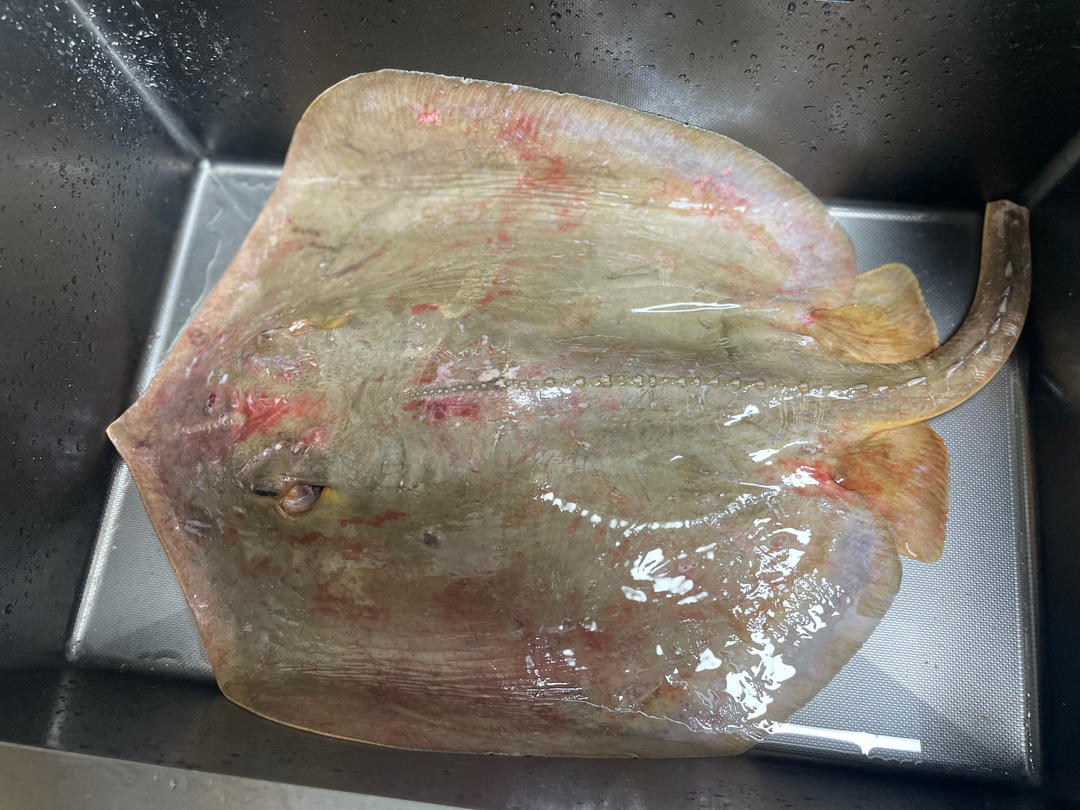 无蛋～香煎魔鬼鱼（老板鱼、鳐鱼）～家常版