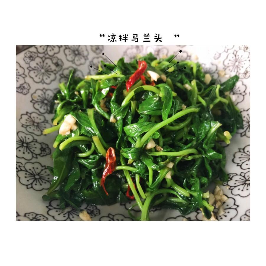 凉拌马兰头
