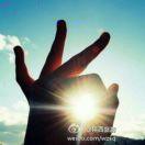 午后一抹sunshine