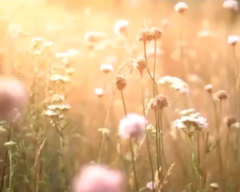 摊蛋皮～爱上不喜欢吃蛋的另一种方法的做法