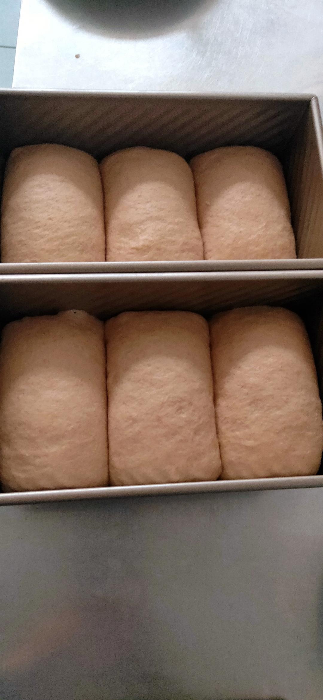 波兰种全麦吐司