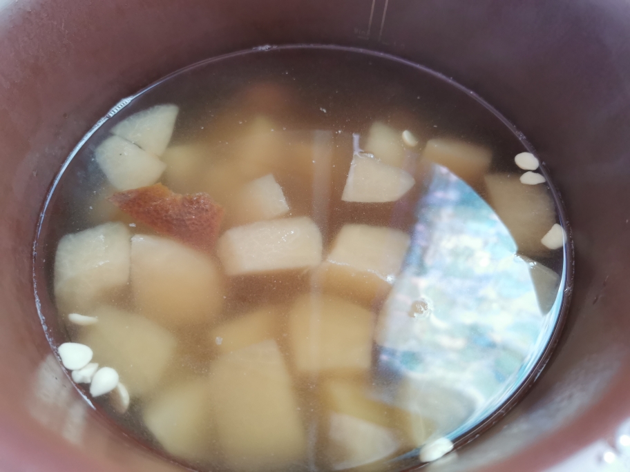 秋季滋润靓汤——苹果雪梨瘦肉汤的做法 步骤2