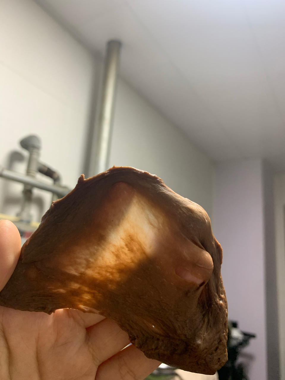 浓香可可吐司🍞