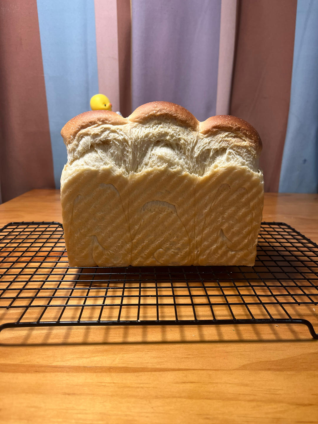 全蛋版本的直接法北海道吐司