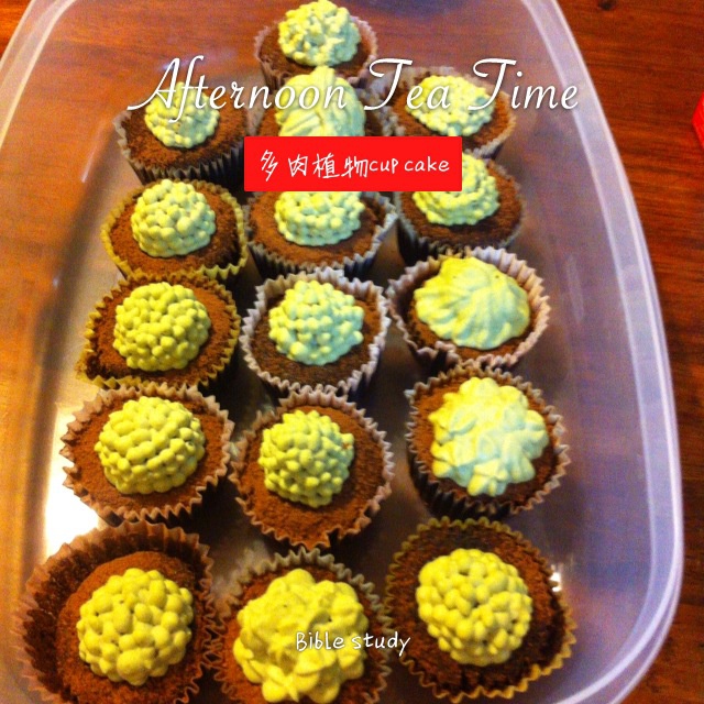 多肉植物仙人球杯子蛋糕（抹茶草莓可可cupcake）