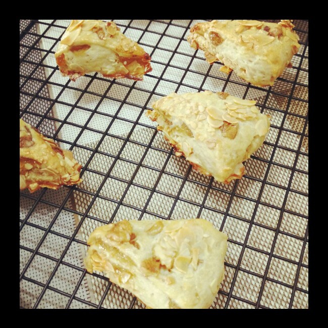 葡萄干司康（酵母版）