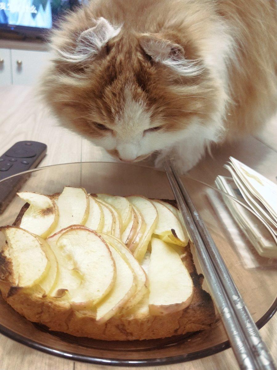 低热量吐司苹果派