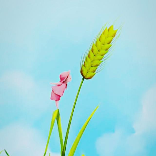 爱上厨房的天使