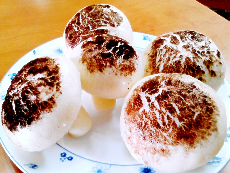 蘑菇包