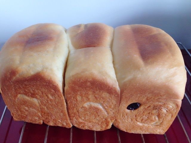 夺命软吐司(๑´ڡ`๑)超软拉丝极速方便的一次发酵吐司