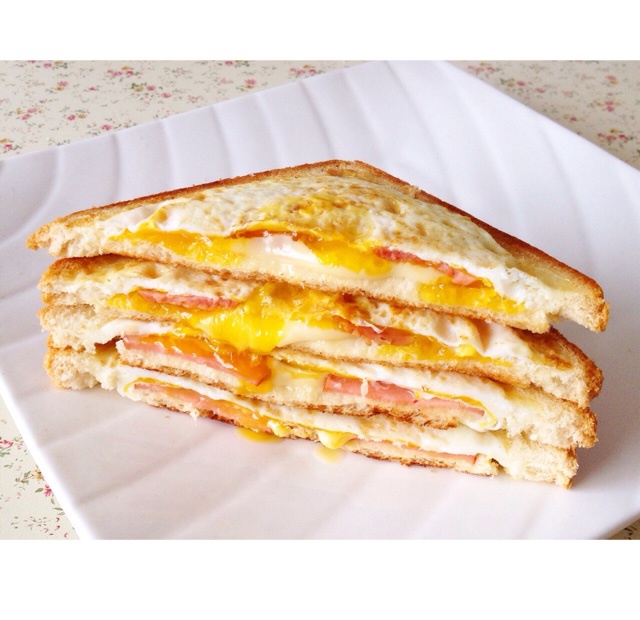 海小绵做的一片面包的三明治