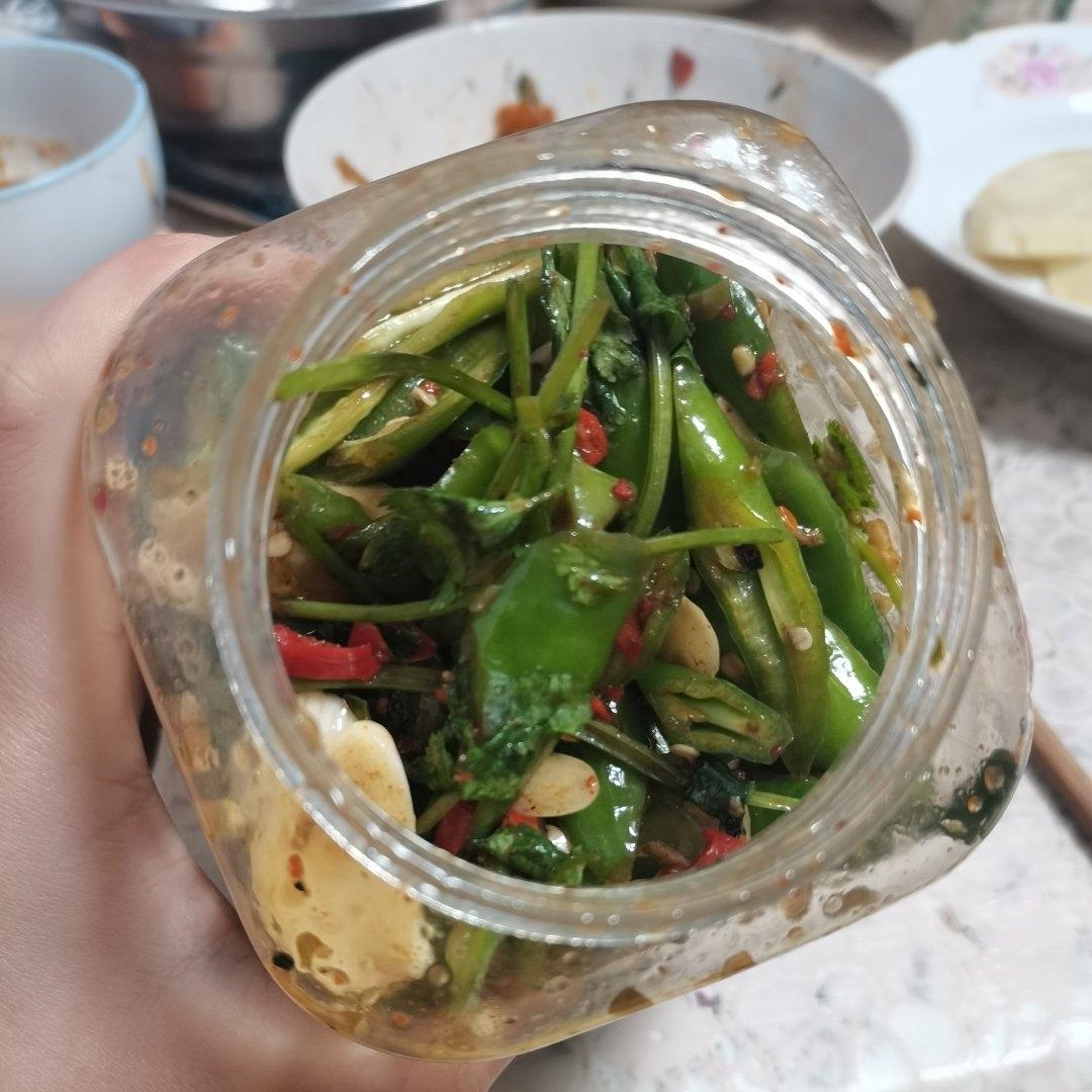 连吃N天都不过瘾‼️香辣爽脆巨开胃〰️腌辣椒