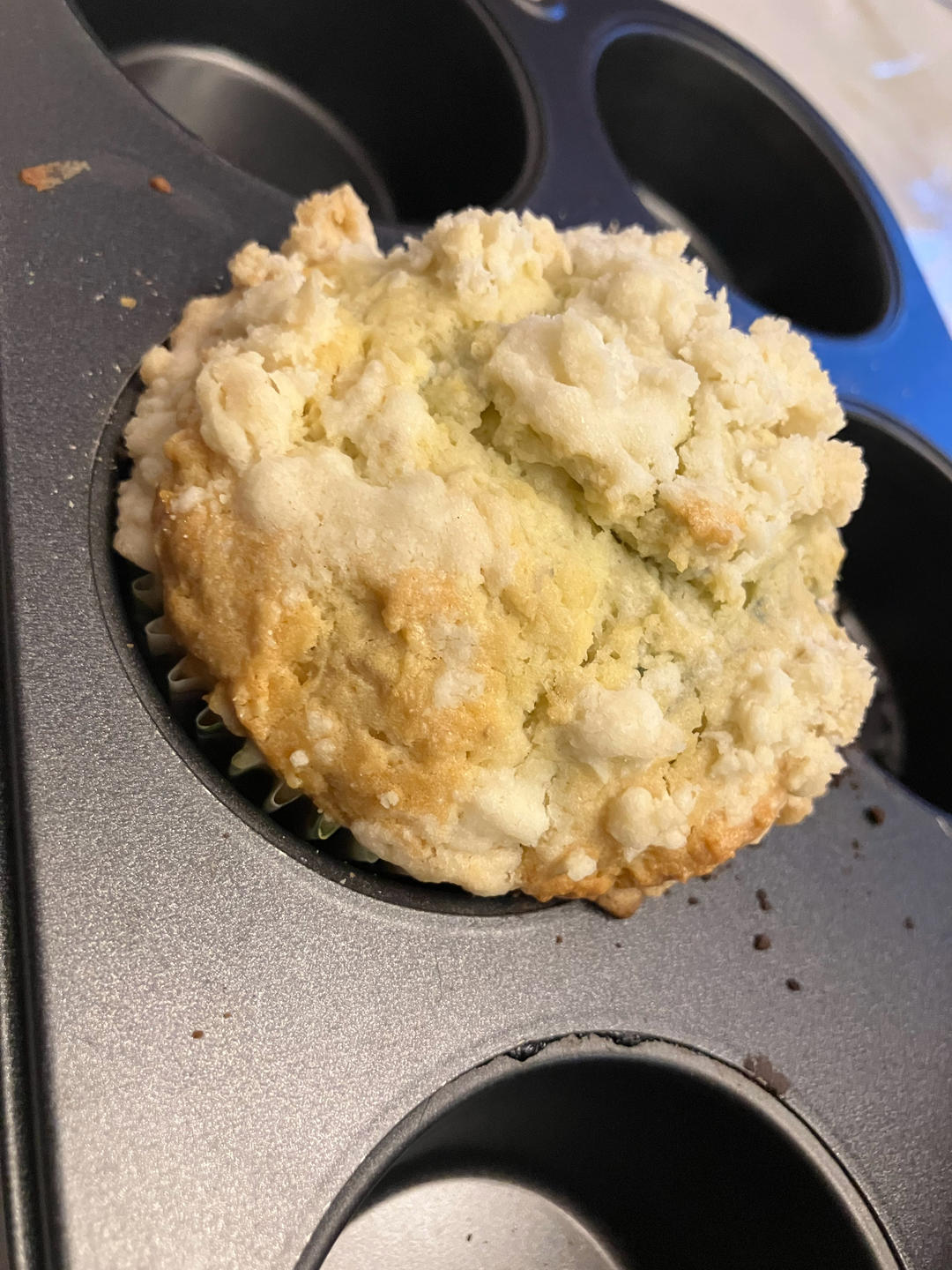 蘑菇头蓝莓麦芬