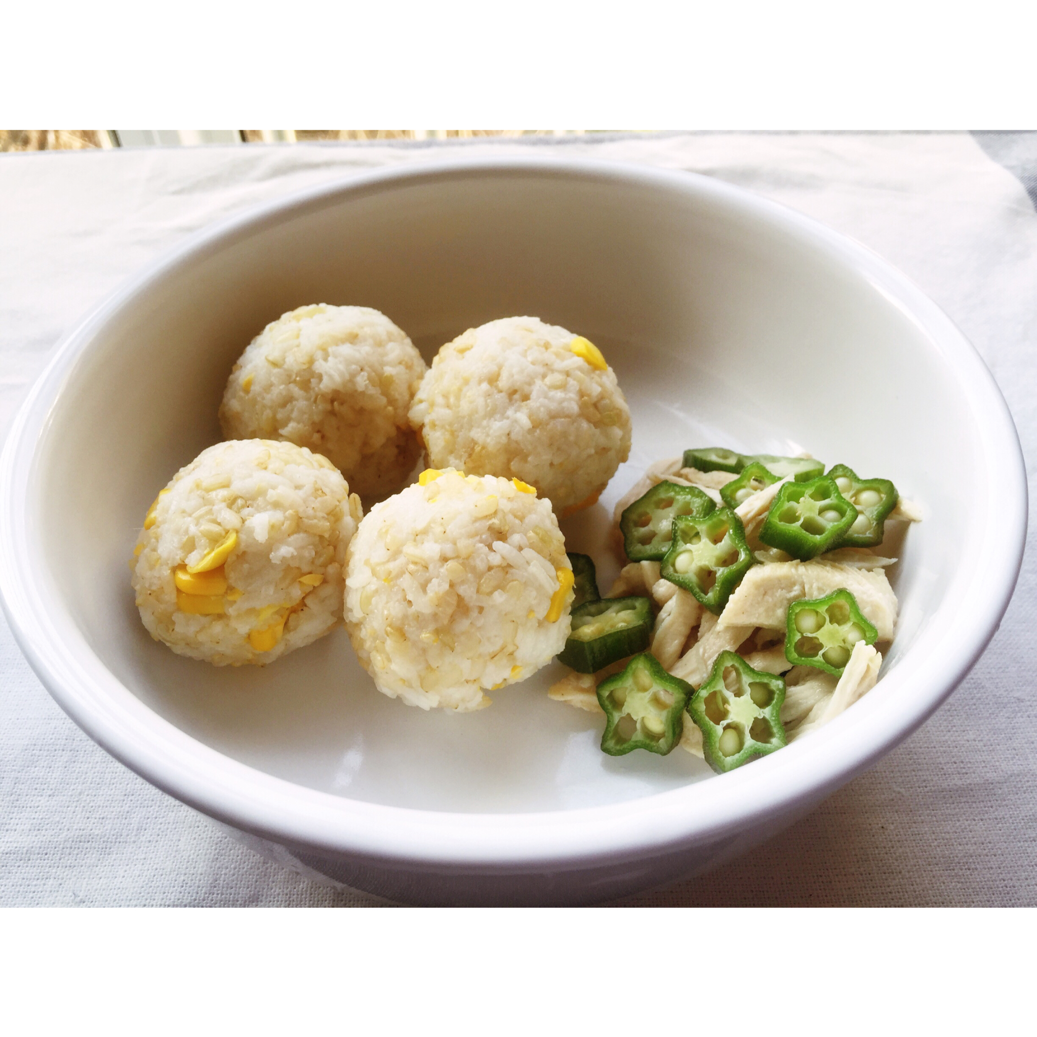 ★宠物食谱★狗狗最爱的糙米饭团