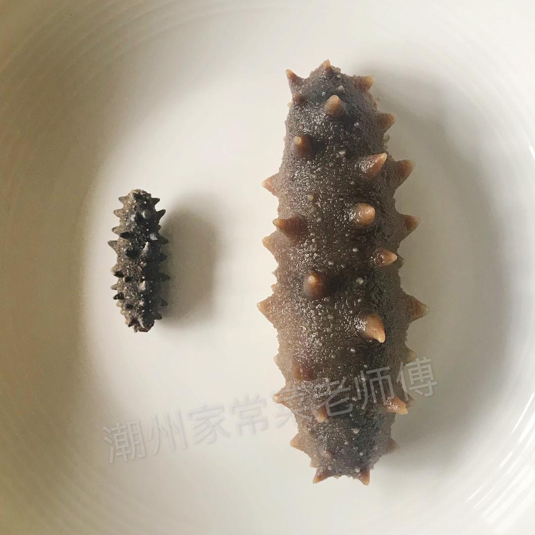 专业海参泡发