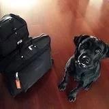 MU家的小厨娘的厨房