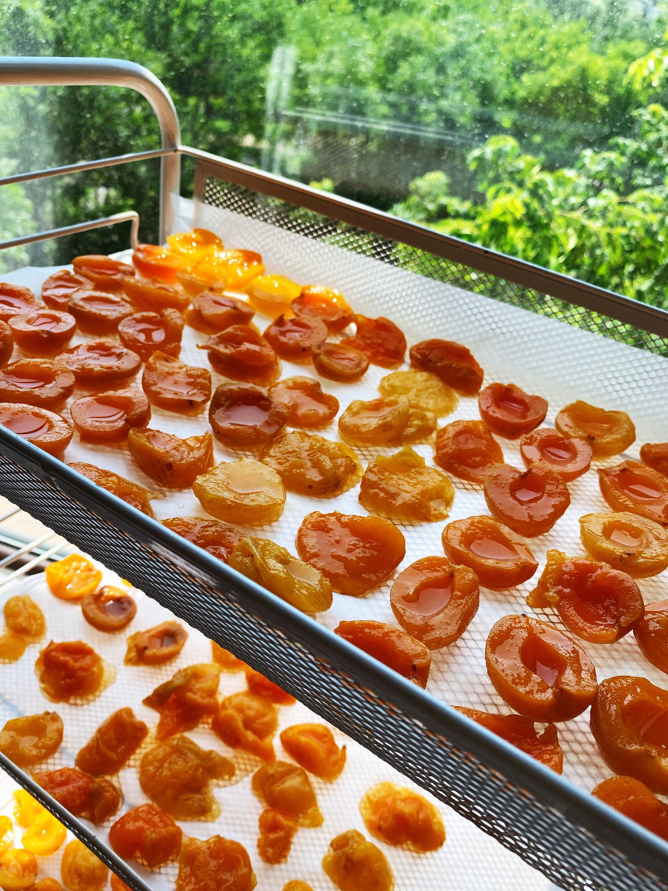 自制美味杏干