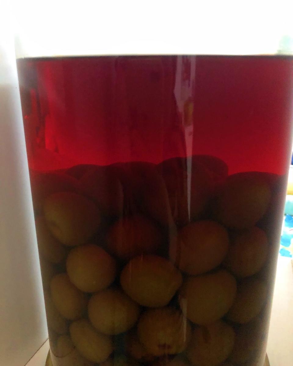 【青梅酒】梅子的沉醉时光（已填坑）