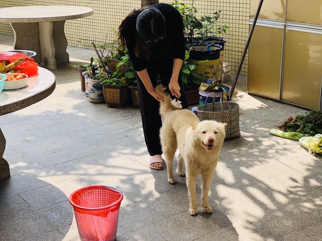 什锦小吃食谱&零散笔记