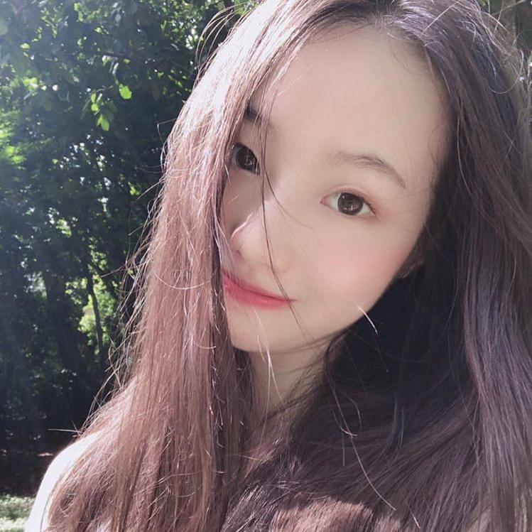 高级蓝翔技术人员